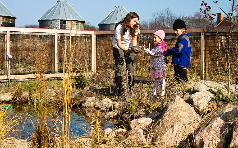 Chicagoland Environmental Network - Volunteers in Action -- Rachel standing with Blandings Turtles (Wildlife Discovery Center)